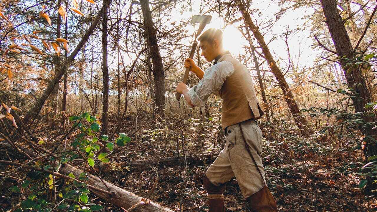 Best Tree Trimming Near Me  in Norwood Young America, MN